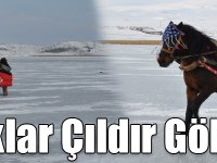 Atlı kızaklar Çıldır Gölü’ne indi