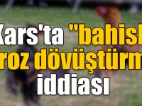 Kars'ta "bahisli horoz dövüştürme" iddiası