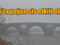 Kars’ta yoğun sis etkili oluyor