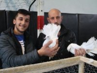 Güvercin Güzellik ve Kostüm Festivali