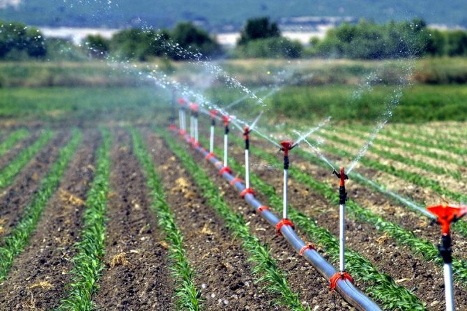 Düzce’de 144 bin 470 dekar tarım arazisi sulandı