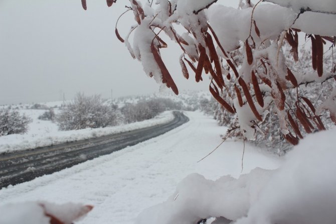 81 köy yolunun kapandığı Elazığ’da kar mesaisi başladı