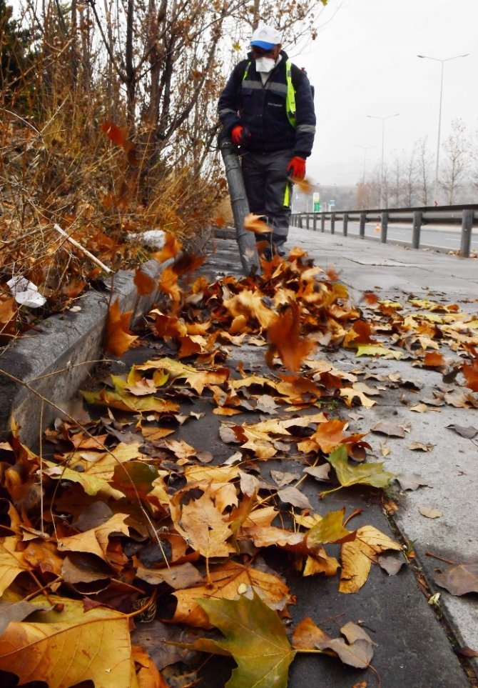 Ankara Büyükşehir Belediyesi ekipleri cadde ve sokakları yapraklardan temizliyor