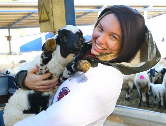 Genç veteriner hekimlerden Sakız koyunu çiftliğine ziyaret