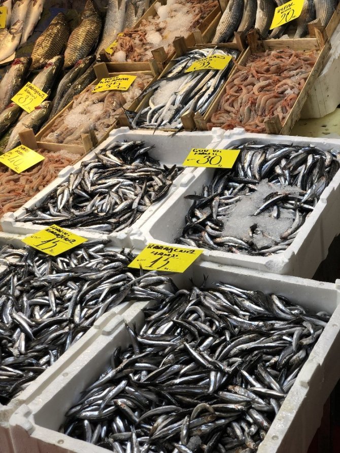 Deniz suyu sıcaklığı balık fiyatlarını vurdu