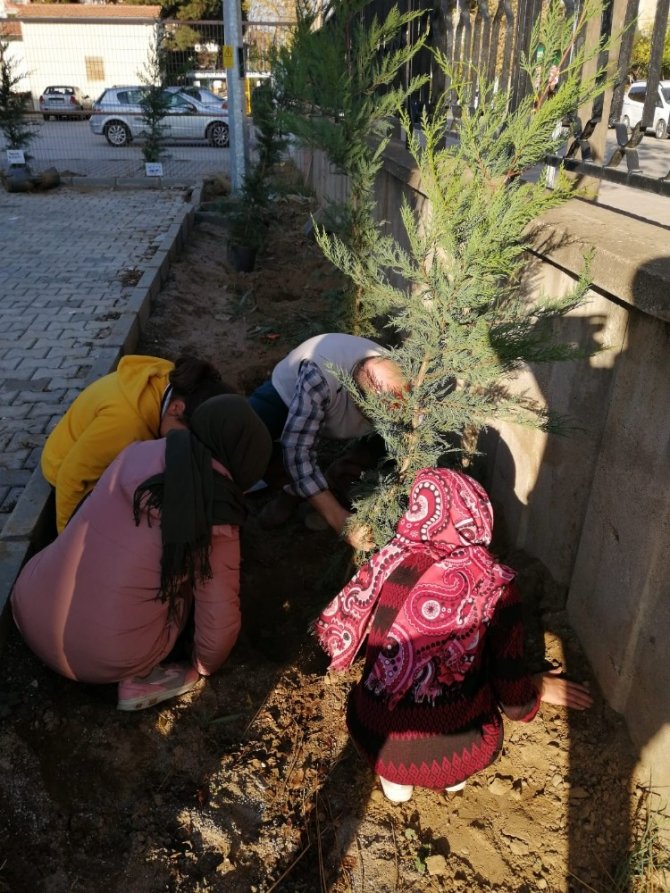 Gönüllü öğrenciler okul bahçesine ağaç dikti