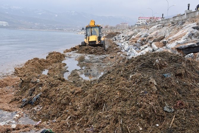 Başkan Geylani, Van Gölü sahilindeki temizlik çalışmalarını inceledi