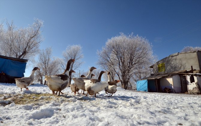 Doğu Anadolu'da soğuk hava etkisini sürdürüyor