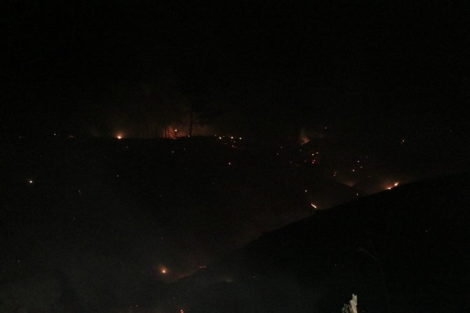 Adana’da orman yangını kontrol altına alındı