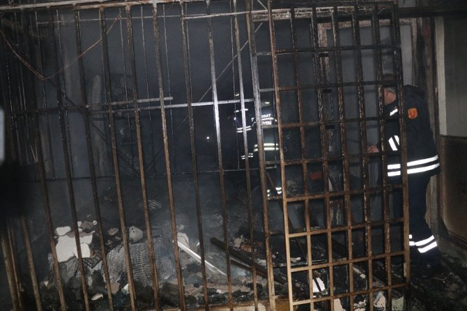 Yozgat’ta pet shopta yangın, çok sayıda hayvan telef oldu