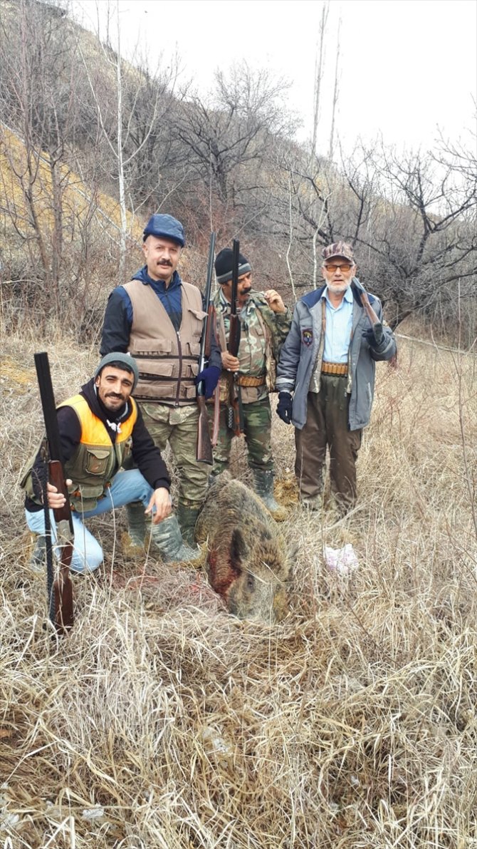 Darende'de sürek avı yapıldı