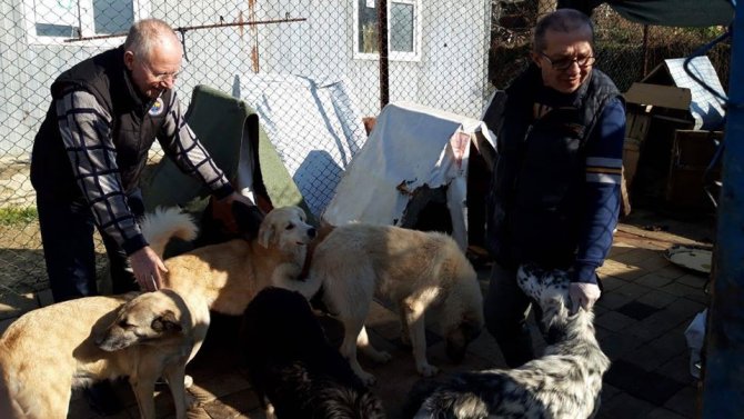 Lapseki’de 2 ayda 406 sokak hayvanı kısırlaştırılarak aşılandı