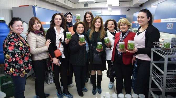 İzmirli kadın girişimciler Ödemiş’i gezdiler