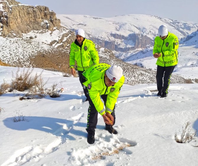 Darende'de yabani kuşlar için doğaya yem bırakıldı