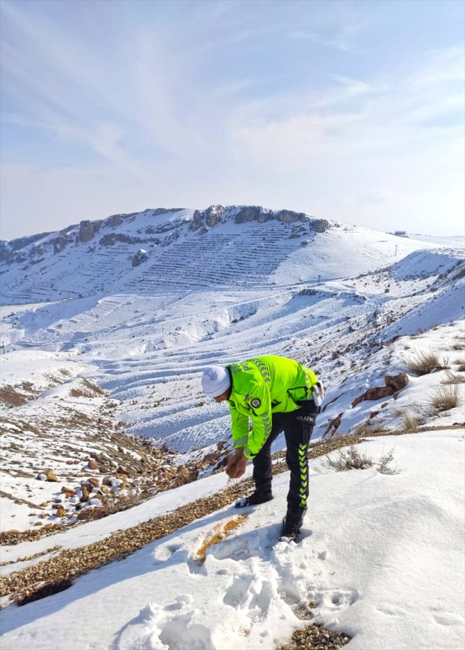 Darende'de yabani kuşlar için doğaya yem bırakıldı