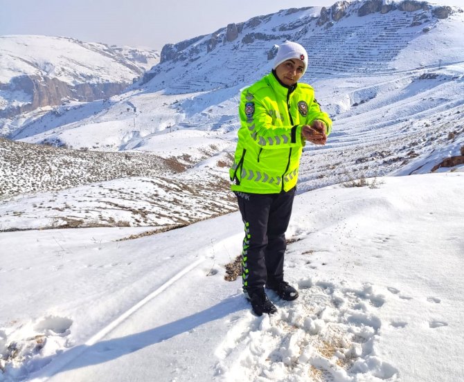 Darende'de yabani kuşlar için doğaya yem bırakıldı