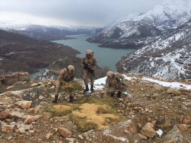 Jandarma Elazığ'da yaban hayvanları için doğaya yem bıraktı