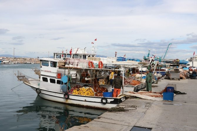 İzmirli balıkçılar: “Mültecileri adalara seve seve taşırız”