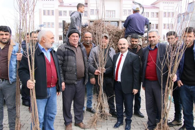 Selim Belediyesi’nden her eve bir meyve ağacı