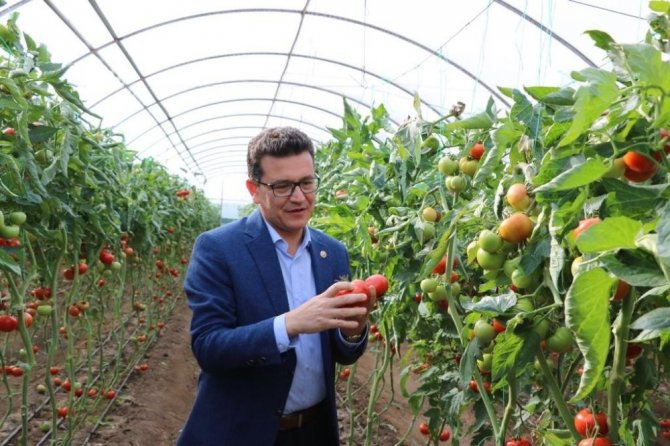 Çiftçiye faizsiz ve indirimli kredi desteği