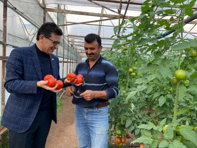 Çiftçiye faizsiz ve indirimli kredi desteği