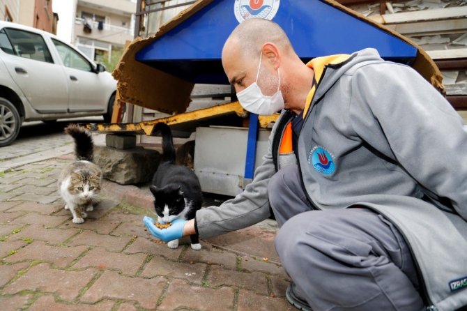 Kağıthane Belediyesi sokak hayvanlarını unutmadı