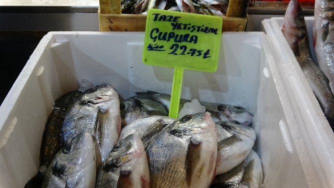 Vatandaş ucuz balık yesin diye fiyatları yarı yarıya düşürdü