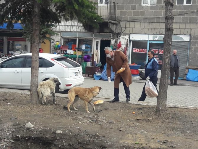 Başkan Altay, sokak hayvanlarını unutmadı