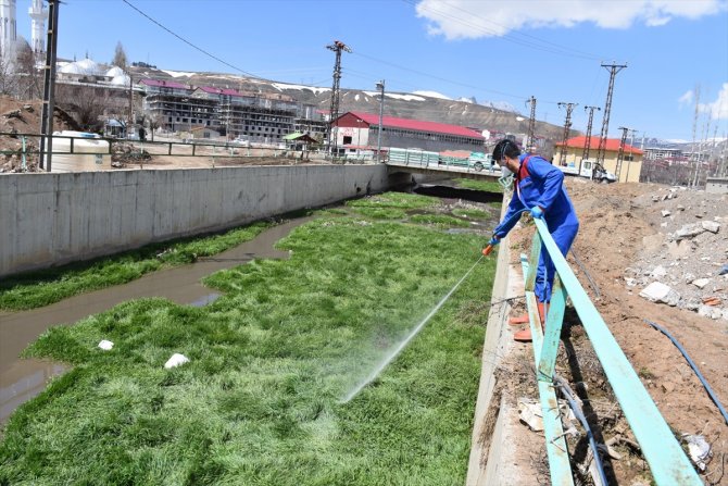 Tatvan Belediyesi vektörle mücadele çalışması başlattı