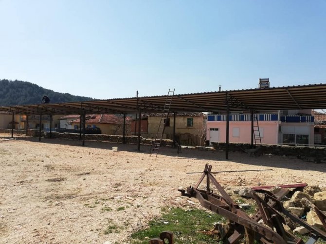 100 ton vişne rekoltesi bekleniyor