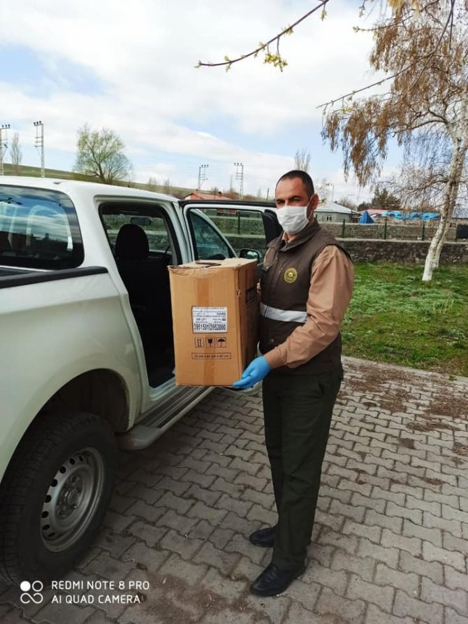 Yaralı saz delicesi tedavi altına alındı