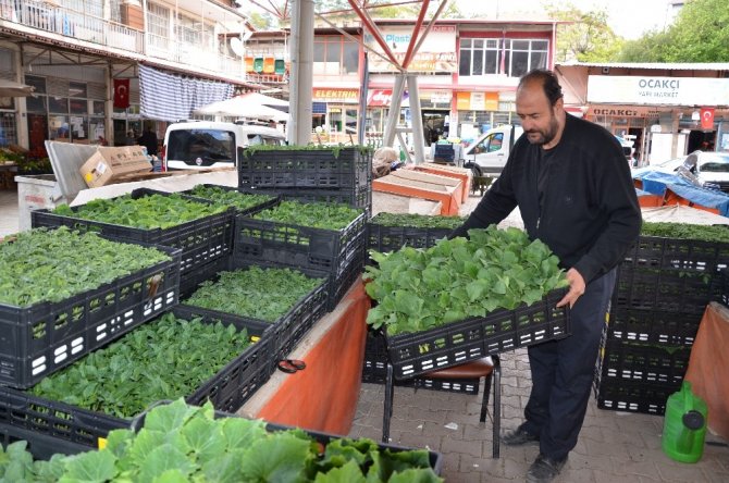 Korona virüs fide satışlarını da düşürdü