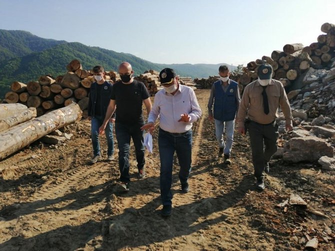 Çaylıoğlu orman dışı satış deposu kapasite artırım çalışmaları sürüyor