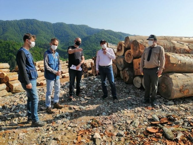 Çaylıoğlu orman dışı satış deposu kapasite artırım çalışmaları sürüyor