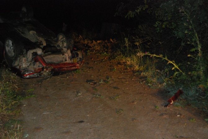 Yoldan çıkan araç ağaçlara çarptı: 1 ölü
