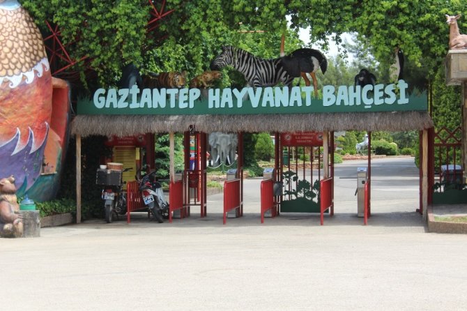 Gaziantep Hayvanat Bahçesi 15 Haziran’a hazırlanıyor
