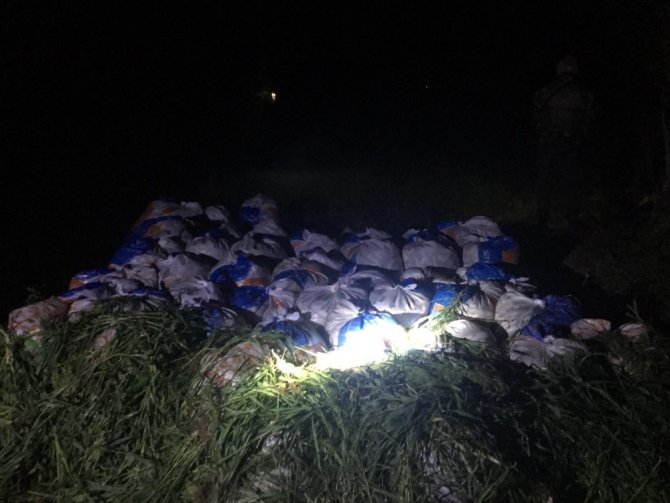 Van Gölü’nde kaçak avlanmış 16 ton ölü balık ele geçirildi