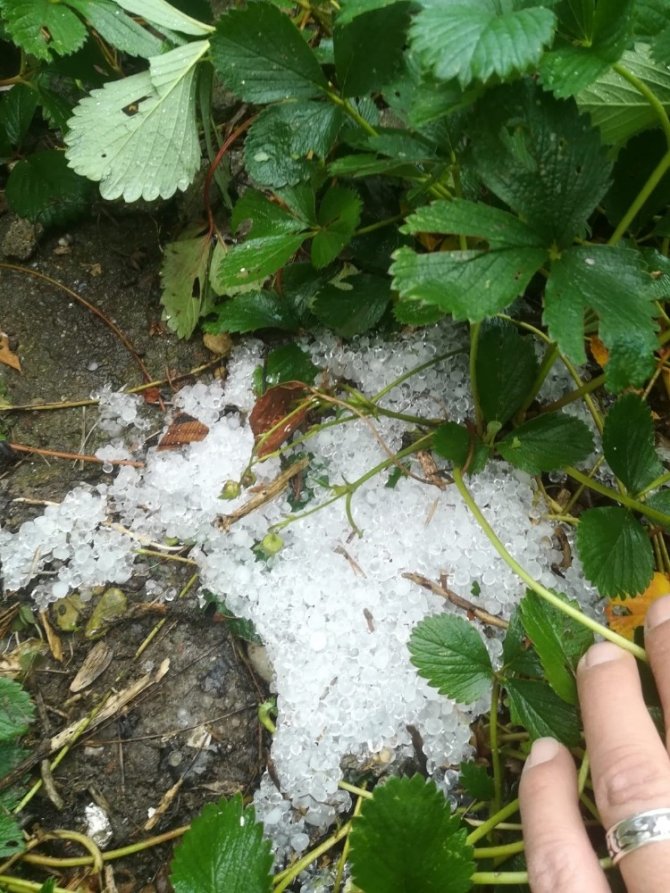 Doluyu gören Hafize teyze duaya başladı