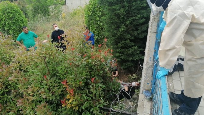 Yaşlı kadın 3 metrelik istinat duvarından ağaçlık alana düştü