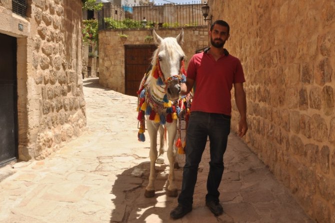 Mardin’in meşhur süslü atları ziyaretçilerini bekliyor