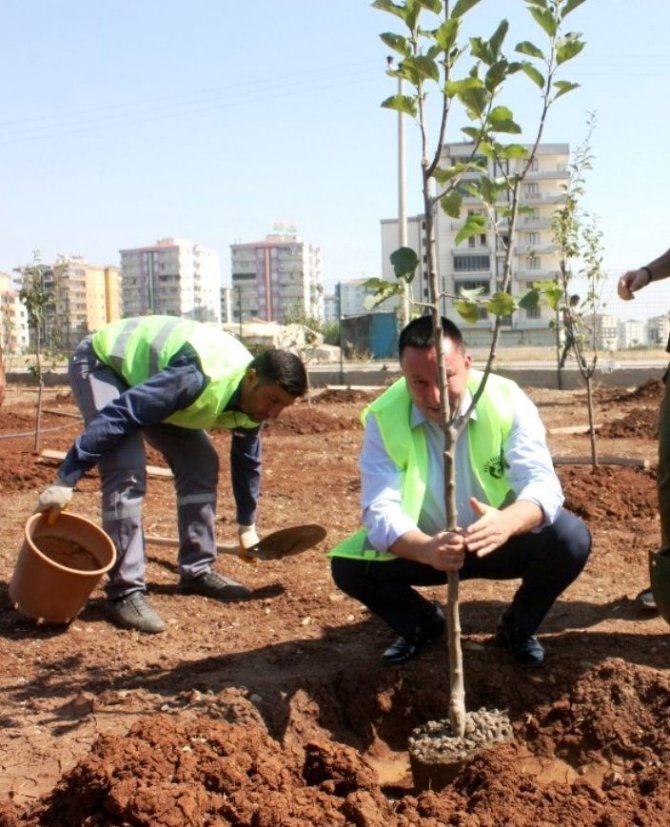 Bağlar Belediye Başkanı Beyoğlu: "Doğayı koruyan çevre dostu belediye olduk"