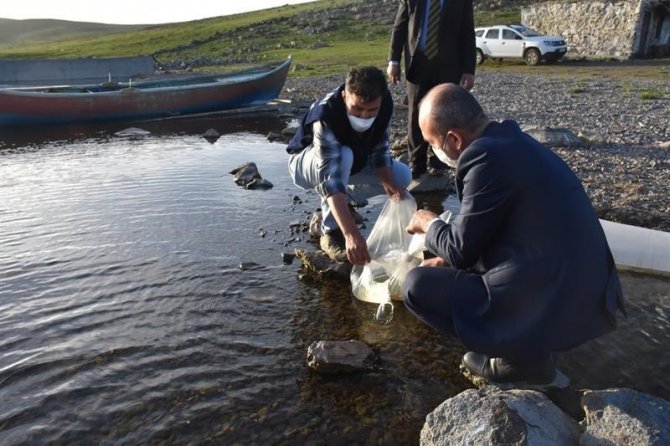 Kars’ta göllere 85 bin yavru sazan balığı bırakıldı