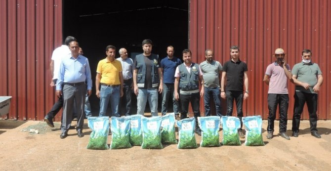 Bingöl’de çiftçilere 2 ton yonca tohumu dağıtıldı