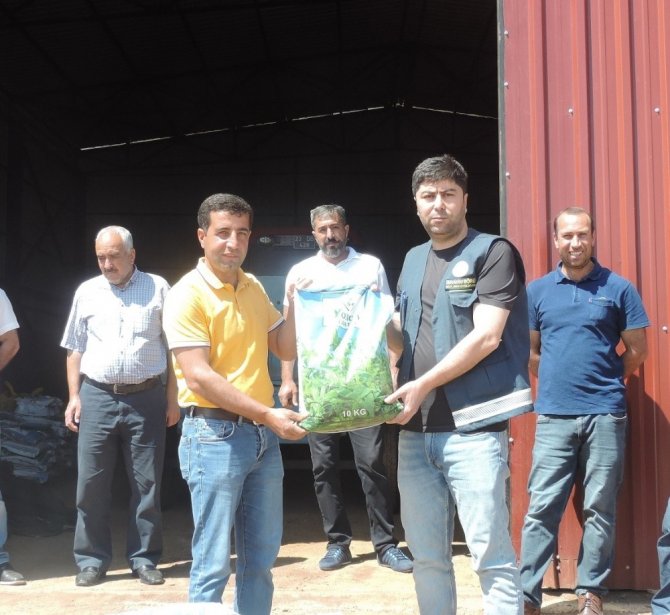 Bingöl’de çiftçilere 2 ton yonca tohumu dağıtıldı