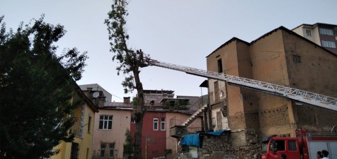 İtfaiye ekipleri tehlike saçan ağaçları kesti