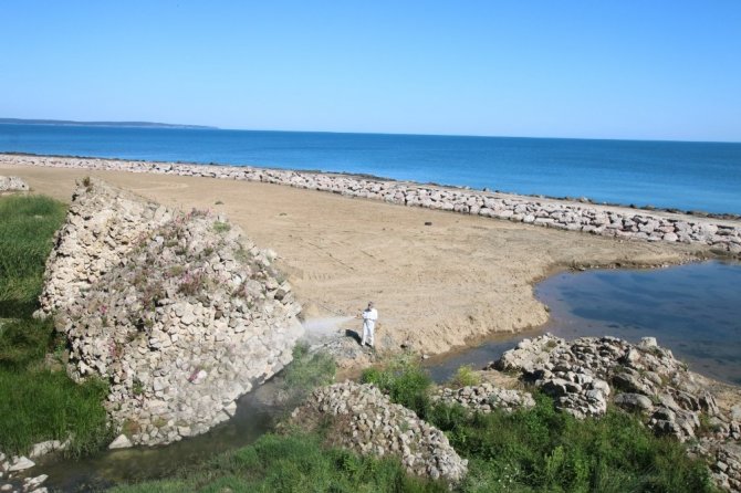 Sinop Belediyesinden sahillere ilaçlama
