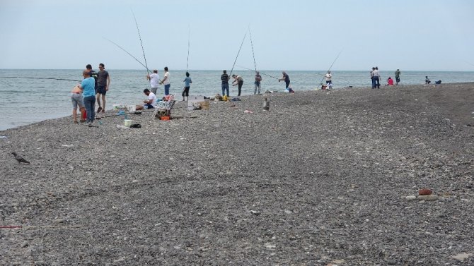 Zonguldak’ta, amatör balıkçılar sosyal mesafeli balık tuttu