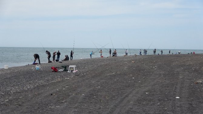 Zonguldak’ta, amatör balıkçılar sosyal mesafeli balık tuttu