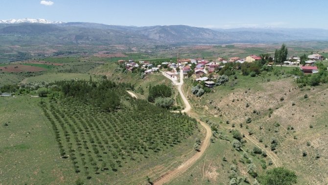 70’lik delikanlı köyüne 8 bin 500 ağaç dikti