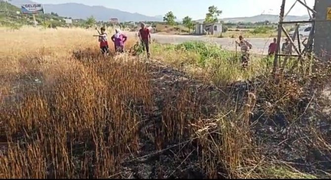 Patlayan trafo buğday tarlasını yaktı